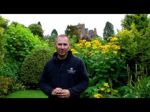 National Trust For Scotland - Crathes Gardens