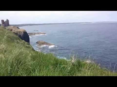 Orca Hunting At Noss Head, Caithness, Scotland