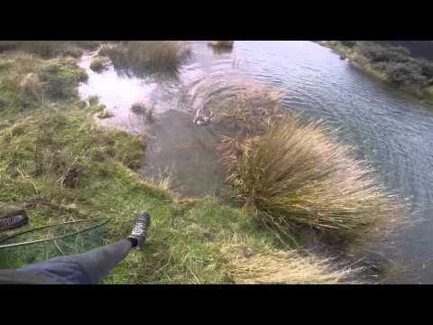 Fly Fishing Loch Katrine 2015