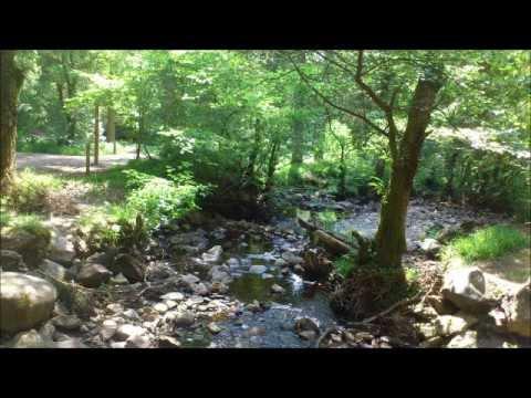 Aberfoyle, The Trossachs, Scotland