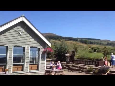 Gold Panning Near Aberfeldy