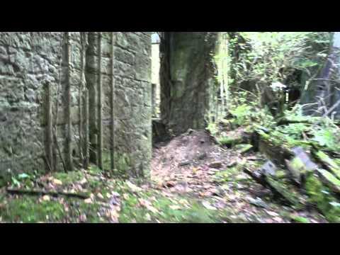 Buchanan Castle. Drymen/Glasgow Scotland