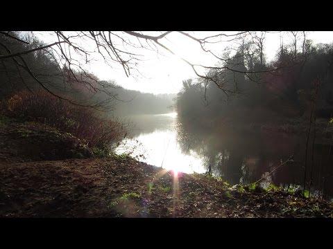 Bothwell Castle