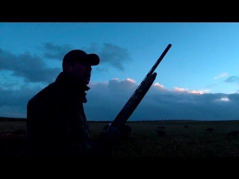 The Shooting Show -- Orkney Goose Flight And The Show's Top Kill Shots