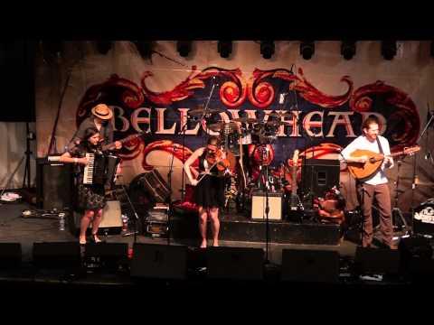 Monster Ceilidh Band@National Forest Folk Festival 2013