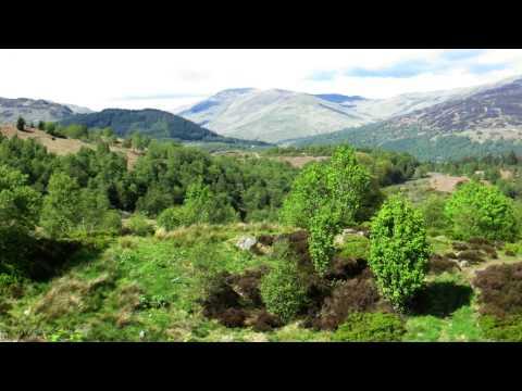 Trossachs Nationalpark Schottland