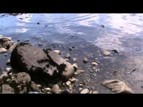 Loch Earn Trout Fishing