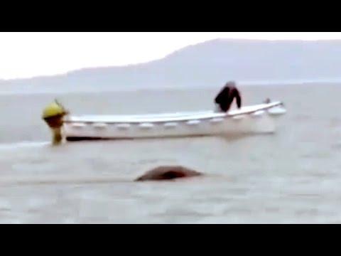 The Loch Ness Monster Caught On Camera