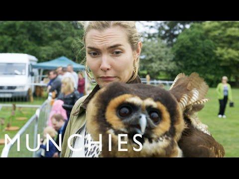 Owls, Haggis-Throwing, And The Highland Games: MUNCHIES Guide To Scotland (Episode 5)