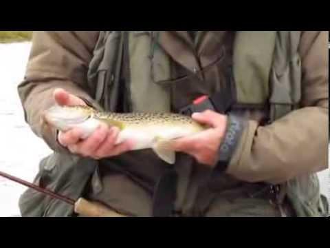 Orkney Trout Fishing