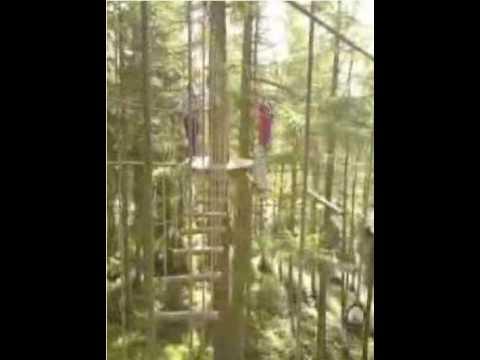 Go Ape Aberfoyle 09