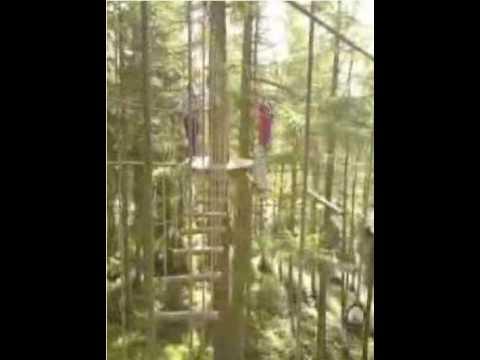 Go Ape Aberfoyle 09