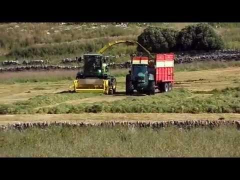 Harvesting Near March Road, Wick, Caithness