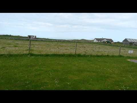 Bird Song In Benbecula In The Outer Hebrides
