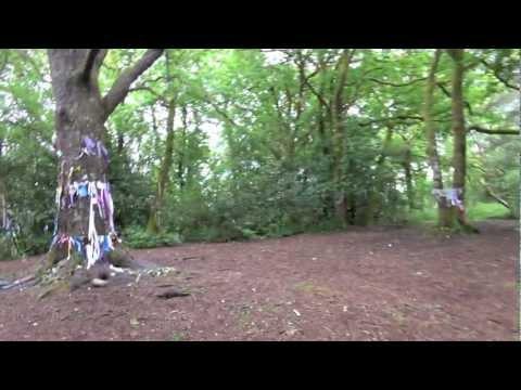 The Fairy Tree Aberfoyle