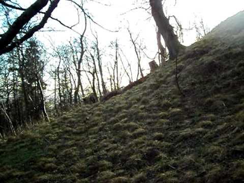 William Wallace's Monument (Scotland)