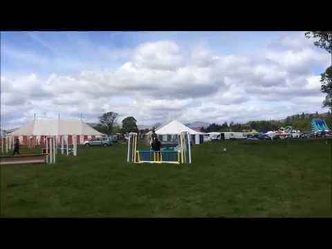 Buddy Winning The Intermediate Jumping At Drymen Show 2015