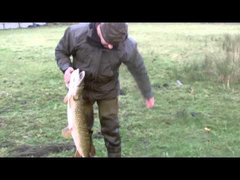 Big Pike Loch Venacher 14.5 Lbs