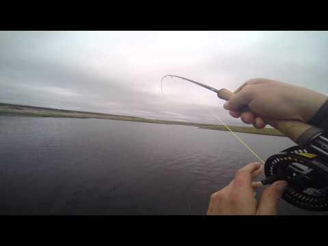 June Salmon On The Thurso