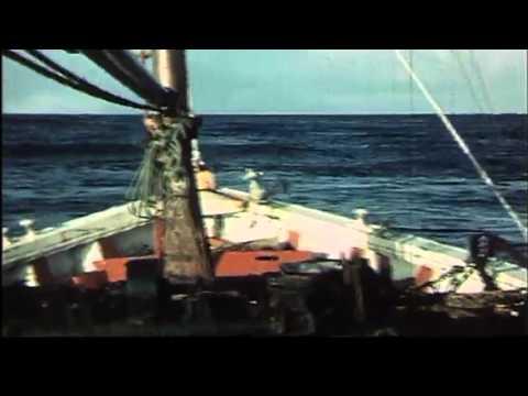 SEA ANGLING IN ORKNEY 1968 Part 1