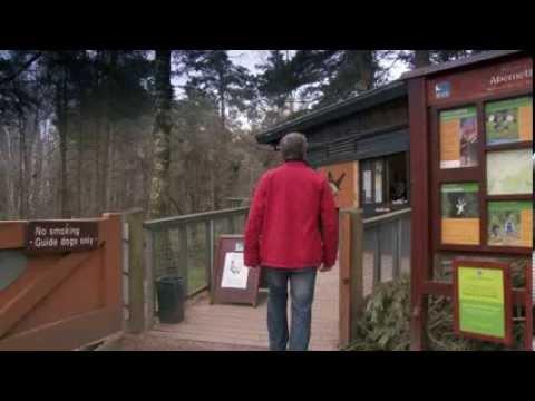 BBC Making Scotland's Landscape 1 Of 5 Scotland's Trees