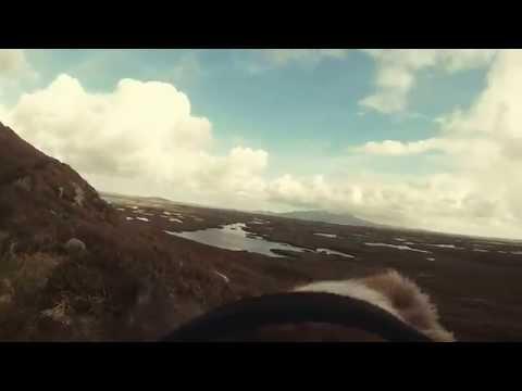 Barney The Saint Bernard Hill Walking - Isle Of Benbecula