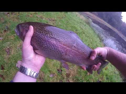 Drumlanrig Estate, Hillhead Pond 26/09/17