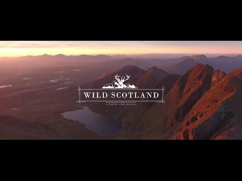 Wild Scotland