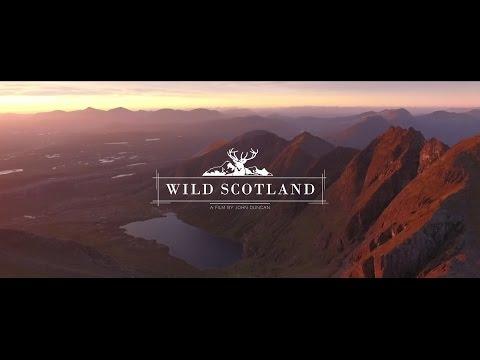 Wild Scotland