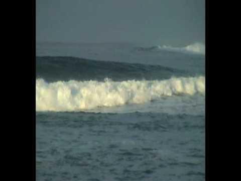 Surf Orkney Winter Video Blog - Surfing In Orkney