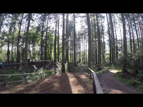 KYC Go Ape Aberfoyle