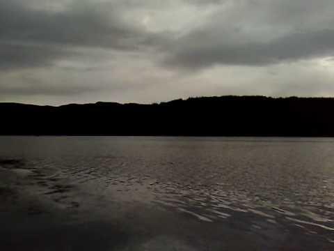 Hooked On Nector: Cormorant Fishing On Loch Venacher