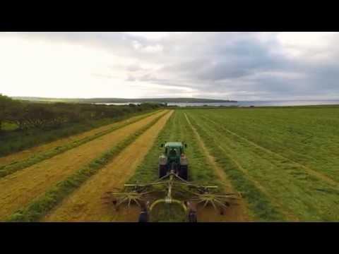 Thurso East Silage