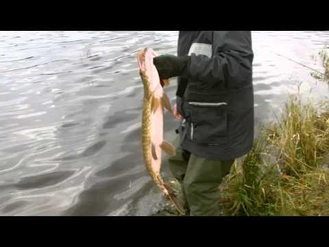 Pike Fishing Loch Venacher Scotland