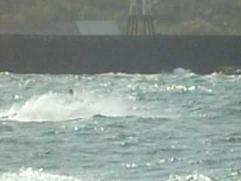 Jetski In Wick Harbour Caithness Part 17