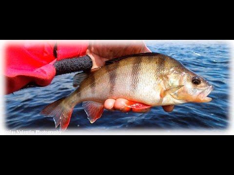 Loch Ken Kayak Fishing Adventure