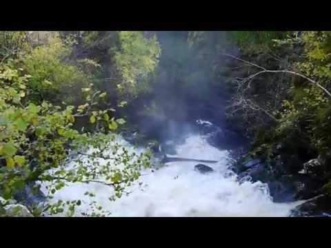 The Birks Of Aberfeldy