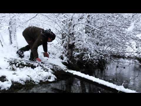 BBC Winterwatch 2015 With The National Trust For Scotland - Shaila And The Pine Martens