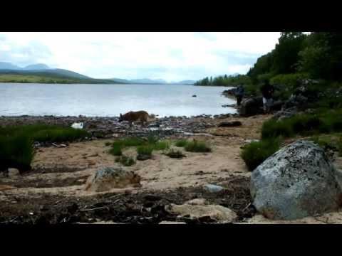 Fishing Trip To Rannoch HD