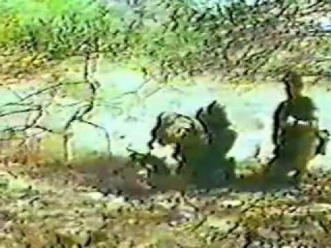 Argylls Plymouth 1968 Part 1 Of 9