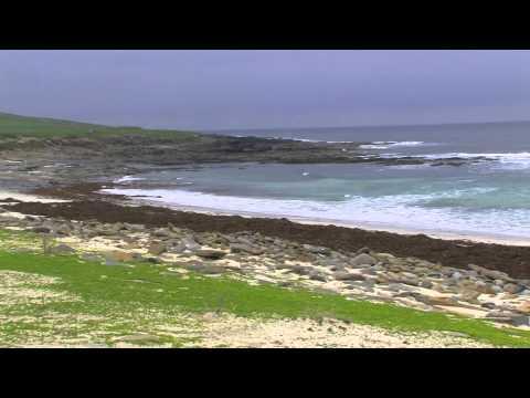 Die Orkney Insel Westray