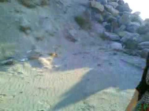 Benbecula Beach Video Ruth N Liv