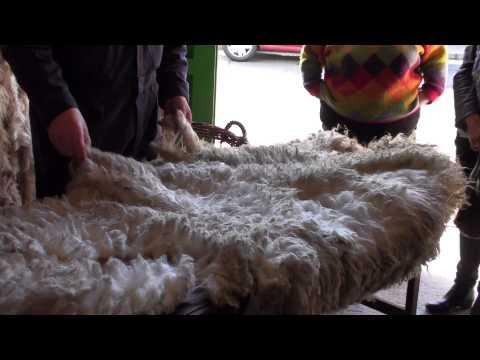 Shetland Wool Week 2014 - Grading Wool